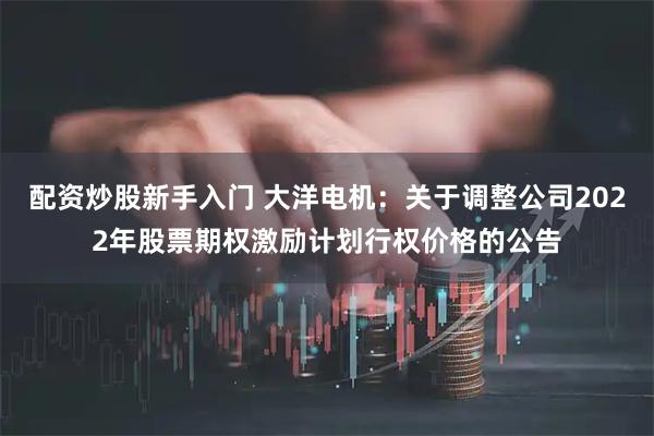 配资炒股新手入门 大洋电机：关于调整公司2022年股票期权激励计划行权价格的公告