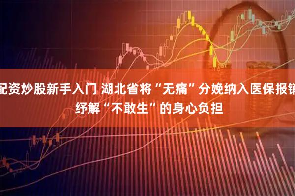 配资炒股新手入门 湖北省将“无痛”分娩纳入医保报销 纾解“不敢生”的身心负担