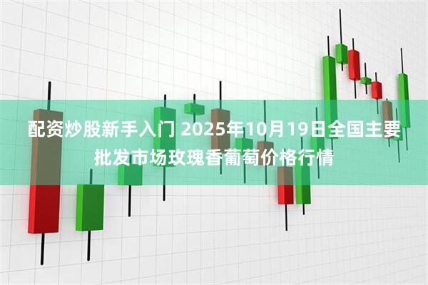 配资炒股新手入门 2025年10月19日全国主要批发市场玫瑰香葡萄价格行情