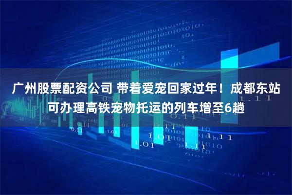 广州股票配资公司 带着爱宠回家过年！成都东站可办理高铁宠物托运的列车增至6趟