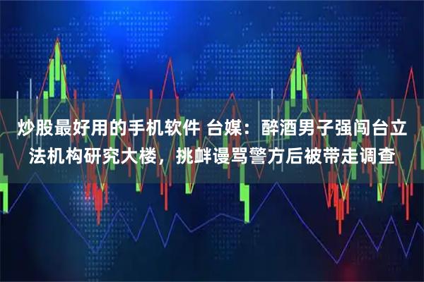 炒股最好用的手机软件 台媒：醉酒男子强闯台立法机构研究大楼，挑衅谩骂警方后被带走调查